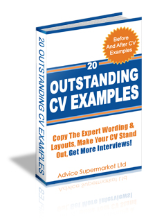 CV Examples