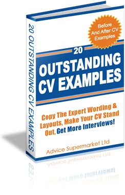 CV Examples